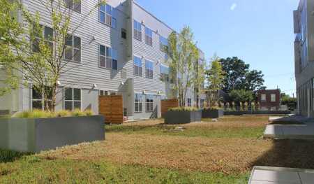A green roof was installed at Paseo Verde, a project by Jonathan Rose Companies.