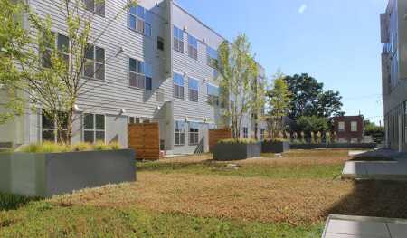 A green roof was installed at Paseo Verde, a project by Jonathan Rose Companies. 