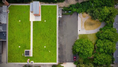 belt-line-20220302_134448000_ios-1-900