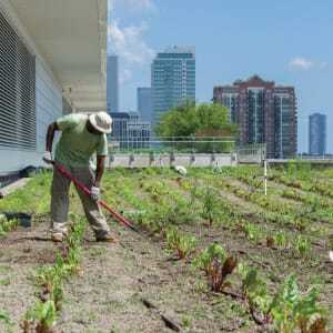 (Chicago Botanic Garden)