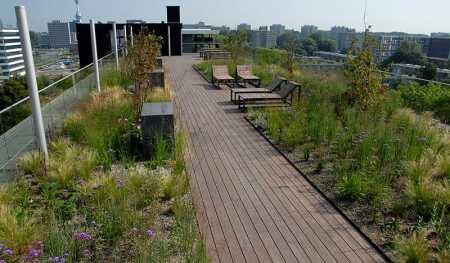 The "polder roof" consists of a layer of crates in which rainwater is stored. (Dakdokters)