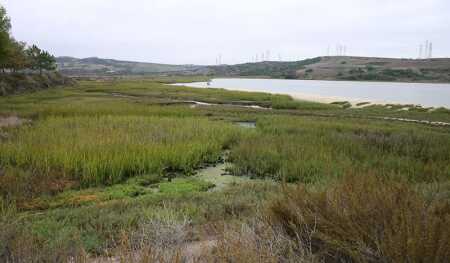 In August, the municipal government of Carlsbad, a coastal community north of San Diego, approved a master plan for 203 acres (82 ha) along the Agua Hedionda Lagoon, including a shopping center proposed by Caruso Affiliated, after the developer gathered 20,000 signatures for an initiative. (Bovlb)