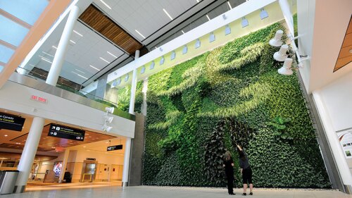 livingwall_800