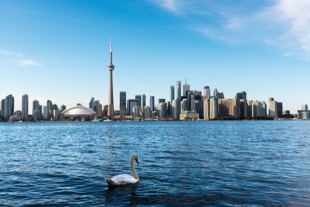 shutterstock_351178139_900