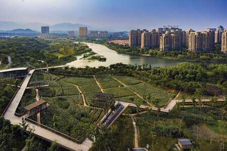 quzhou-luming_619