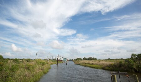 shutterstock_1201103074_800