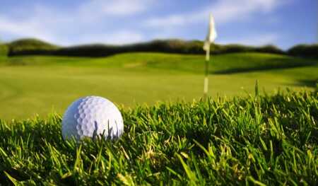 800-golf