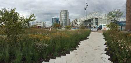 Orly Square (Tree Ground Solutions)