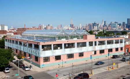 Gotham Greens’ rooftop farm in Brooklyn.