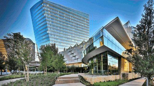 mckinney-olive-cedar-springs-view_800