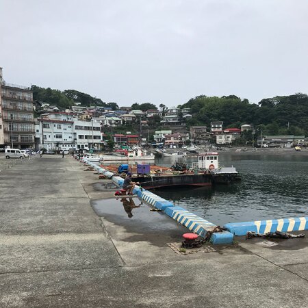 manazuru-harbor-featuring-foster-sarahs-619