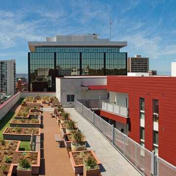 The eco-roof includes garden space and provides a spot  where residents can socialize. (Jim Doyle of Applied Photography)