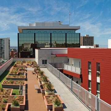  The eco-roof includes garden space and provides a spot  where residents can socialize. (Jim Doyle of Applied Photography)