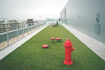 City Market at O apartments in Washington, D.C., have a 200-f00t-long (60 m) rooftop dog park with a water fountain and fire hydrant. (City Market at O)