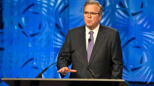 widnessjebbush