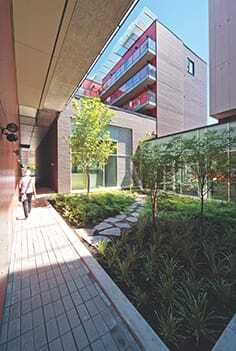 Extensive landscaping affords residents views of and access to nature at the Yu building. (Latrielle Delage Photography/Perkins +Will)