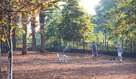 The 3,000-residence Playa Vista neighborhood by  Brookfield Residential in Los Angeles includes Oberrieder Park, which allows dogs to run off-leash on 1.3 acres (0.5 ha). (Brookfield Residential)
