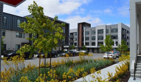 Fremont California Transit-Oriented Development