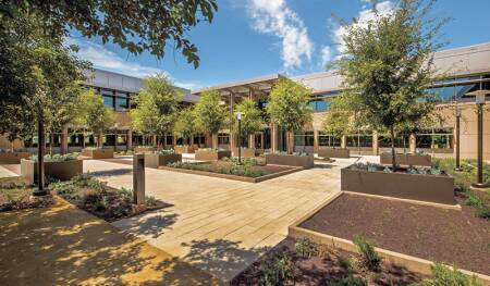 ©Craig Cozart. Twelve large planters in the southern courtyard, built above underground parking, are filled with Chinese elm trees and twin palm trees, flanking special paving, all of which reinforce the entry axis.