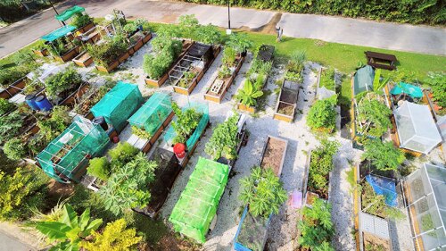 omar_park_platforms