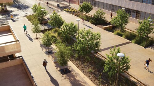 asu_orange_mall1904-619