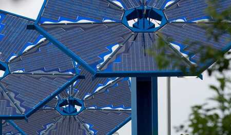 Solar-Sunflowers_day_800