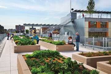 Via Verde’s garden club cares for the vegetable gardens on the fifth-floor roof. (David Sundberg)