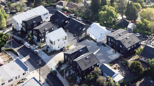 blackbirds-bba-4147a