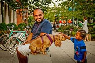 noma-dog-1_310