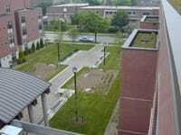 NyrenGreen_3_300