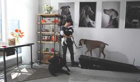 Related Companies’ MiMA high rise has Dog City on the third floor, offering specially designed indoor and outdoor play spaces, along with dog services ranging from veterinary care to grooming and massaging. (the related companies)