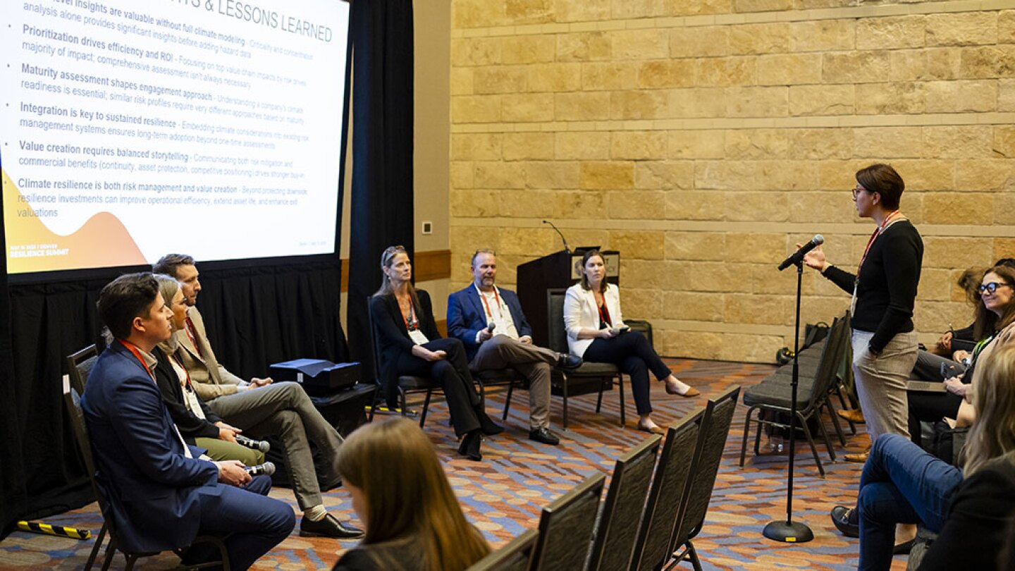 Climate Risk Management: Improving approaches to reduce asset and portfolio threats