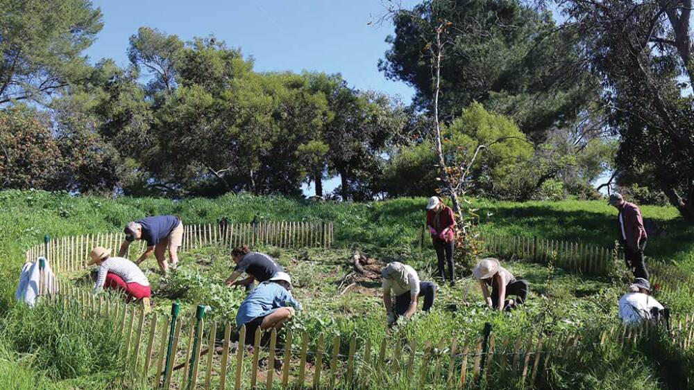 Тестовый участок-TP_ULI_1024.jpg