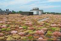 NyrenGreen_2_351